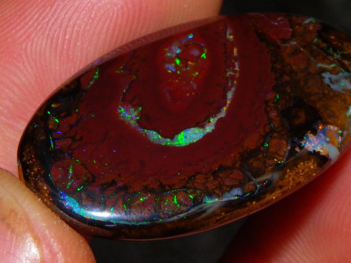3 Quality Koroit Opal Cabs/Freeforms set 90.81cts Nut/Pattern Fires double sided