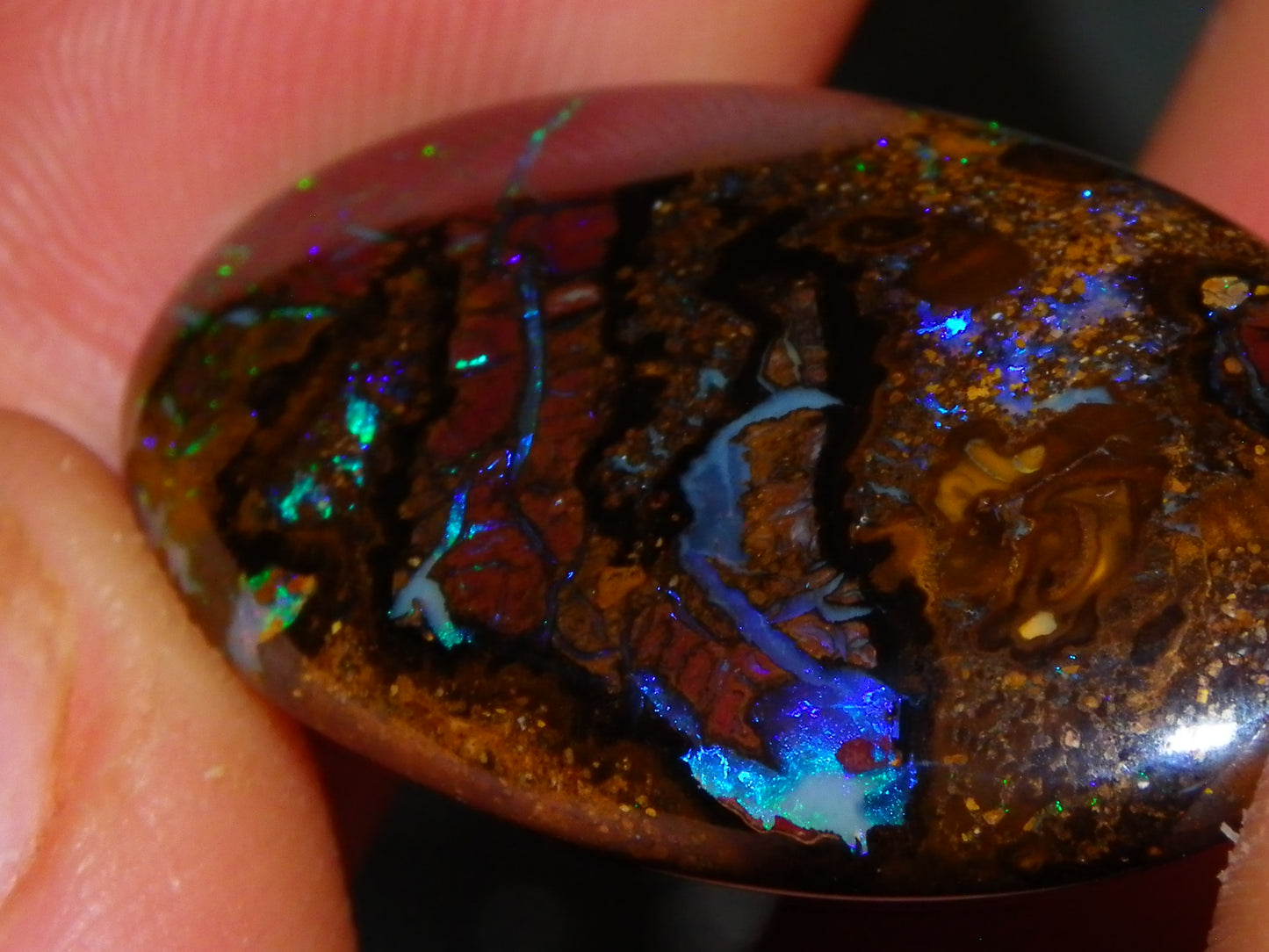 3 Quality Koroit Opal Cabs/Freeforms set 90.81cts Nut/Pattern Fires double sided
