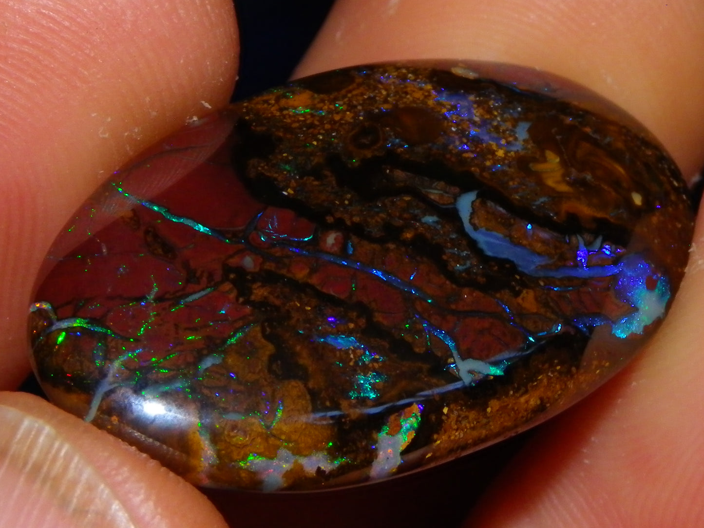 3 Quality Koroit Opal Cabs/Freeforms set 90.81cts Nut/Pattern Fires double sided