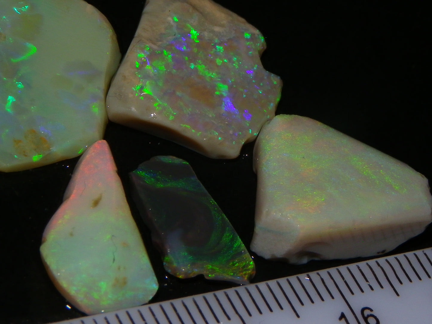 5 Nice Rubbed Lightning Ridge Opals 22cts Fires/Patterns Australia Mixed Base :)