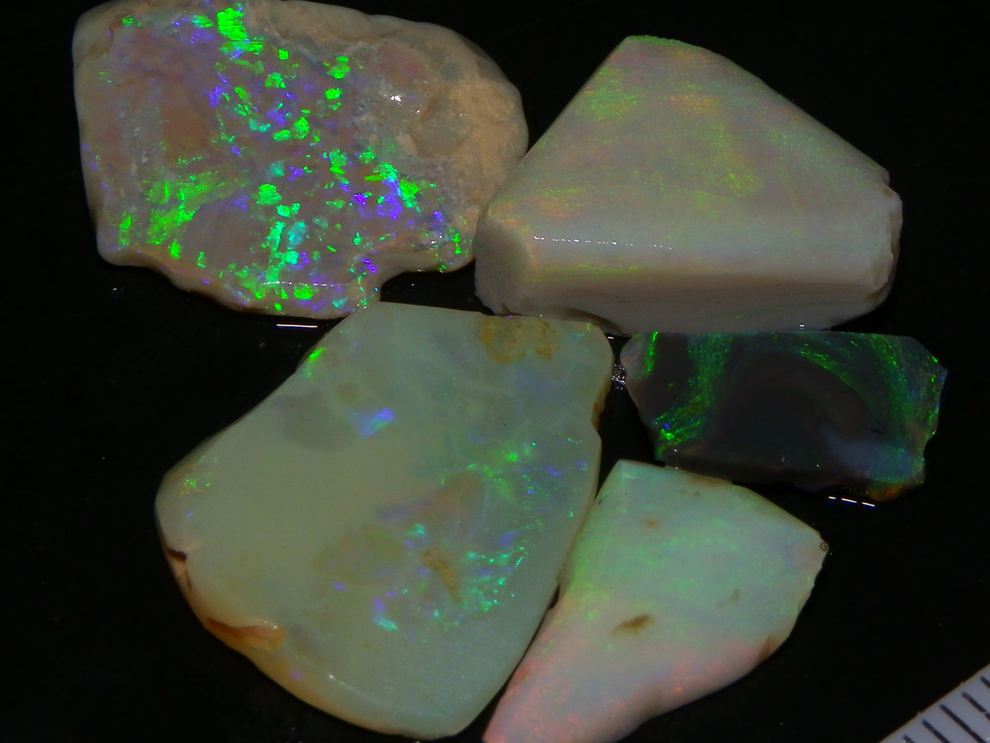 5 Nice Rubbed Lightning Ridge Opals 22cts Fires/Patterns Australia Mixed Base :)