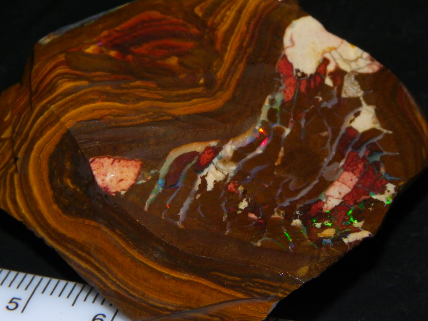 Nice Rubbed/Rough Boulder Opal 263.5cts Queensland Australia Red/Green Fires/Pattern