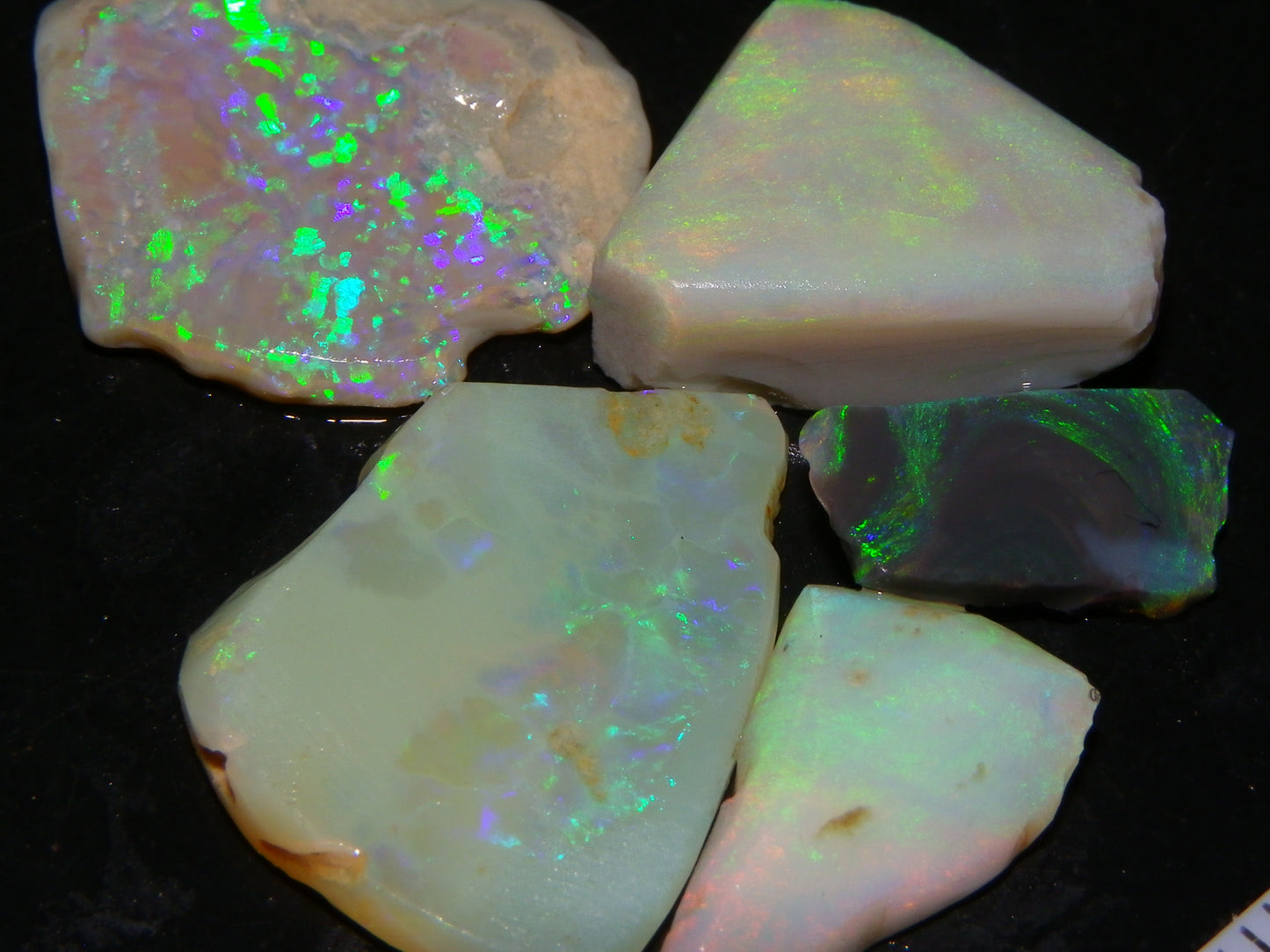 5 Nice Rubbed Lightning Ridge Opals 22cts Fires/Patterns Australia Mixed Base :)