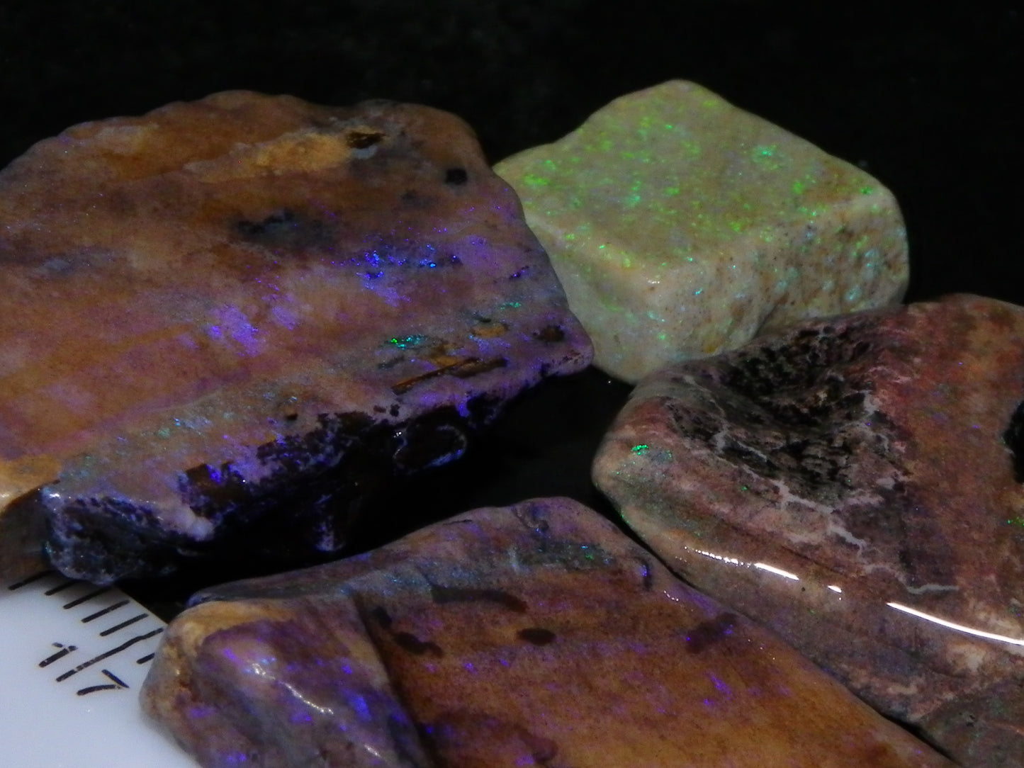 Nice Andamooka Matrix Opal Rough/Sliced Specimens 176.6cts Purple/Greens :)