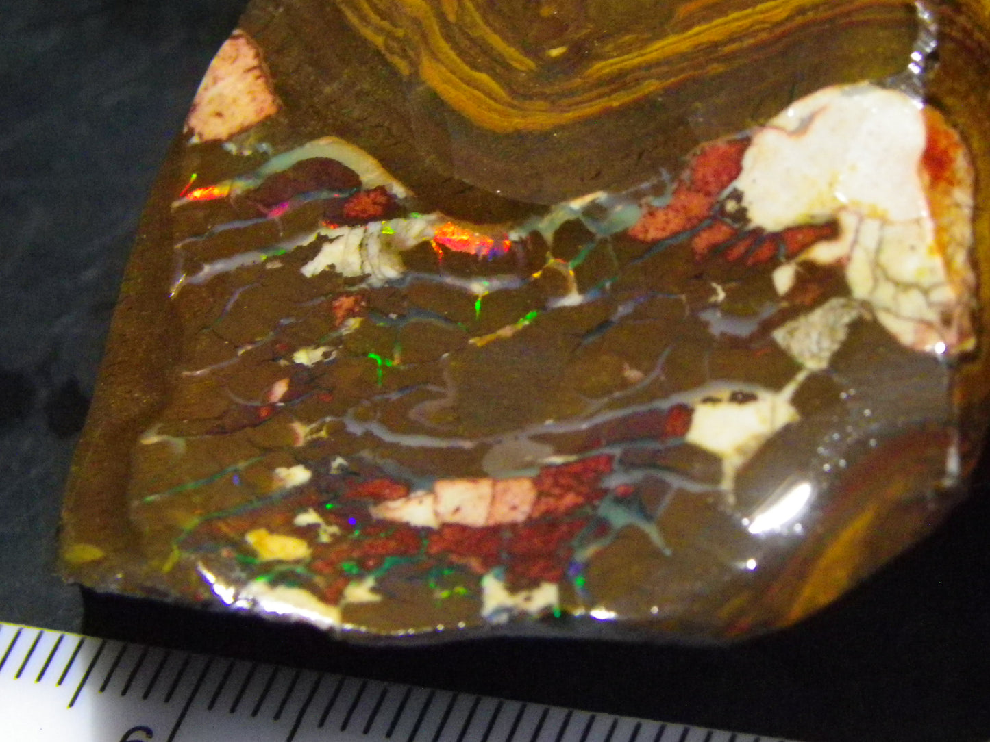 Nice Rubbed/Rough Boulder Opal 263.5cts Queensland Australia Red/Green Fires/Pattern