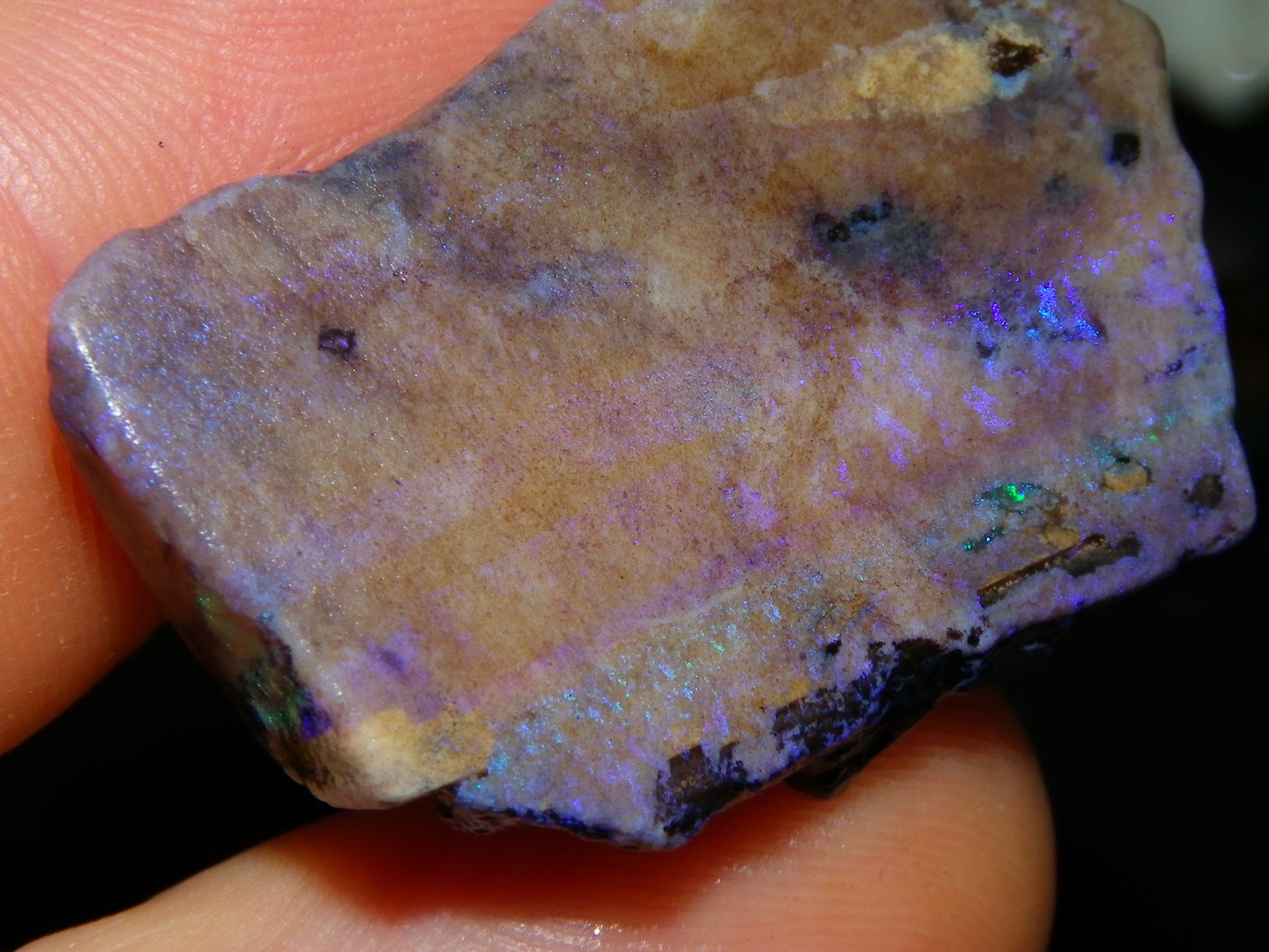 Nice Andamooka Matrix Opal Rough/Sliced Specimens 176.6cts Purple/Greens :)