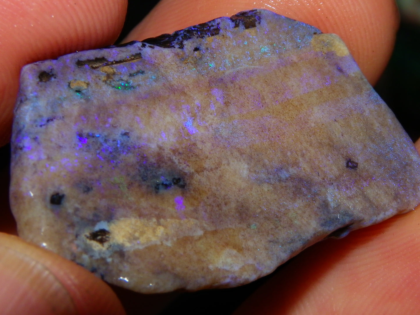 Nice Andamooka Matrix Opal Rough/Sliced Specimens 176.6cts Purple/Greens :)