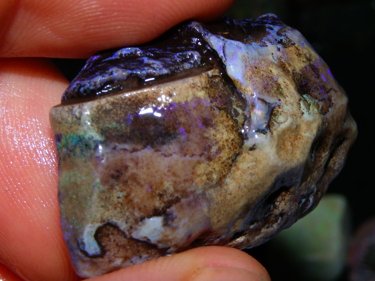 Nice Andamooka Matrix Opal Rough/Sliced Specimens 176.6cts Purple/Greens :)