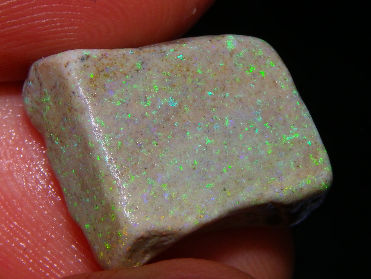 Nice Andamooka Matrix Opal Rough/Sliced Specimens 176.6cts Purple/Greens :)