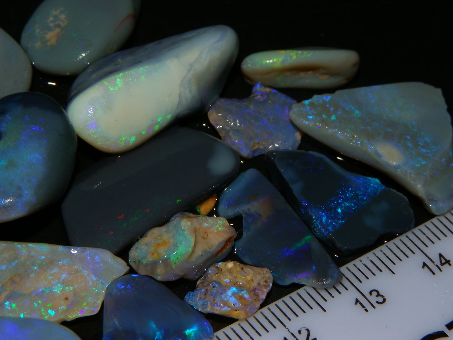 Nice Rough/Rubbed Lightning Ridge Opals 93cts Blue/Purple/Greens :)