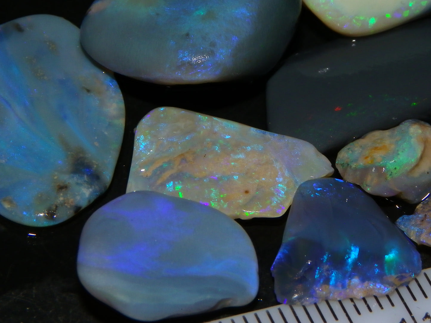 Nice Rough/Rubbed Lightning Ridge Opals 93cts Blue/Purple/Greens :)