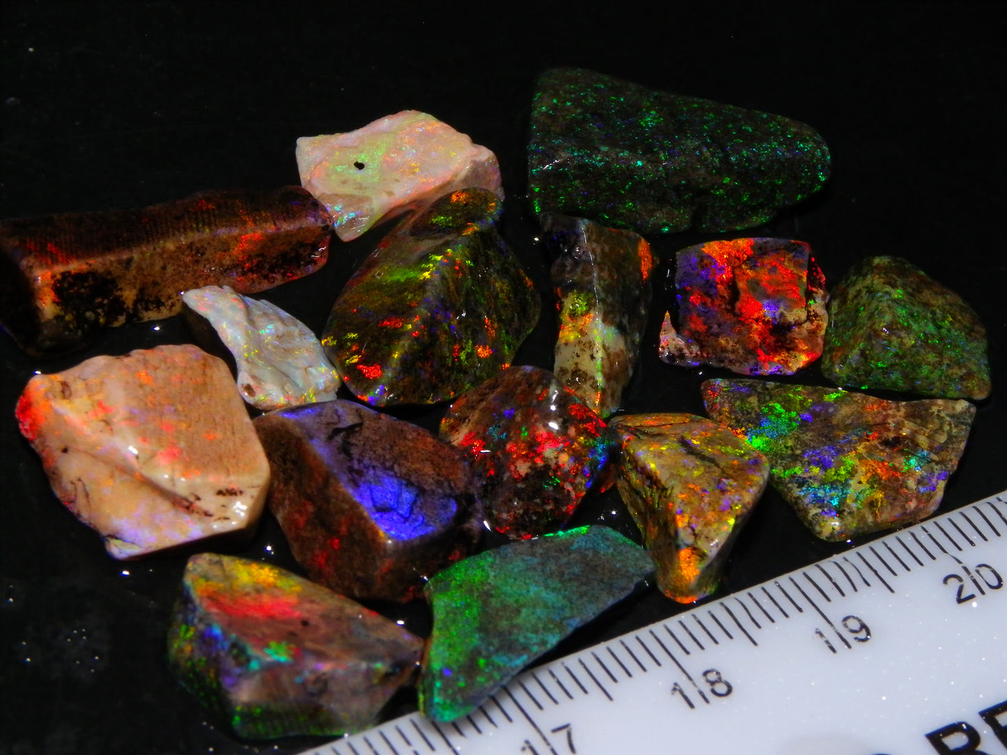 Nice Quality Andamooka Matrix Opals 62.5cts Some very Bright Multicolours Au