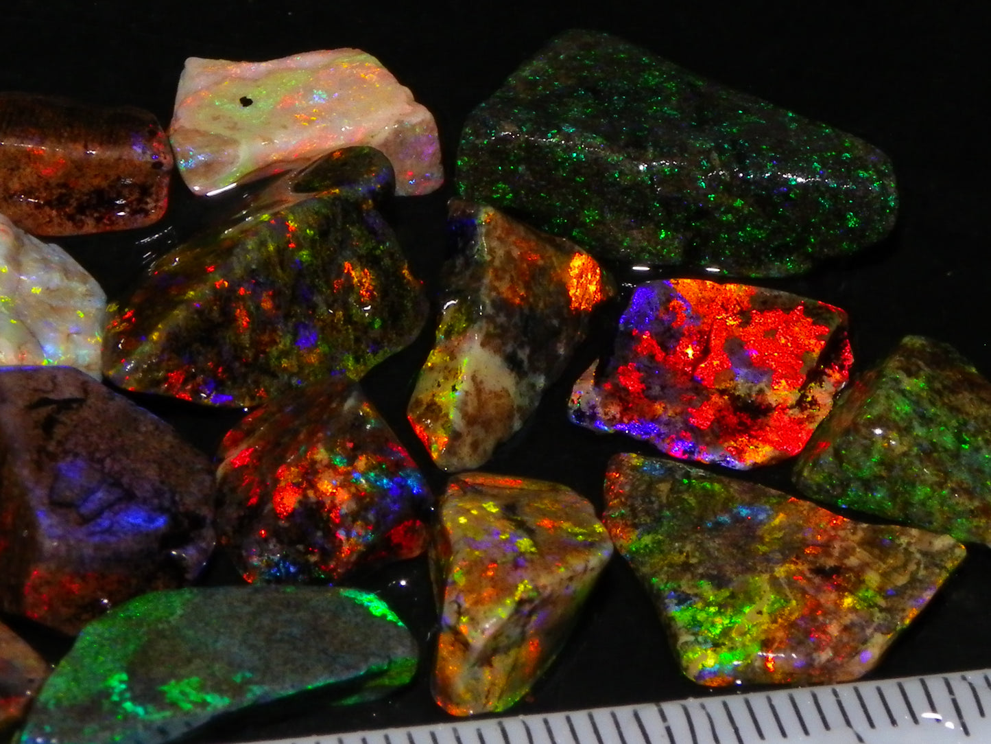 Nice Quality Andamooka Matrix Opals 62.5cts Some very Bright Multicolours Au