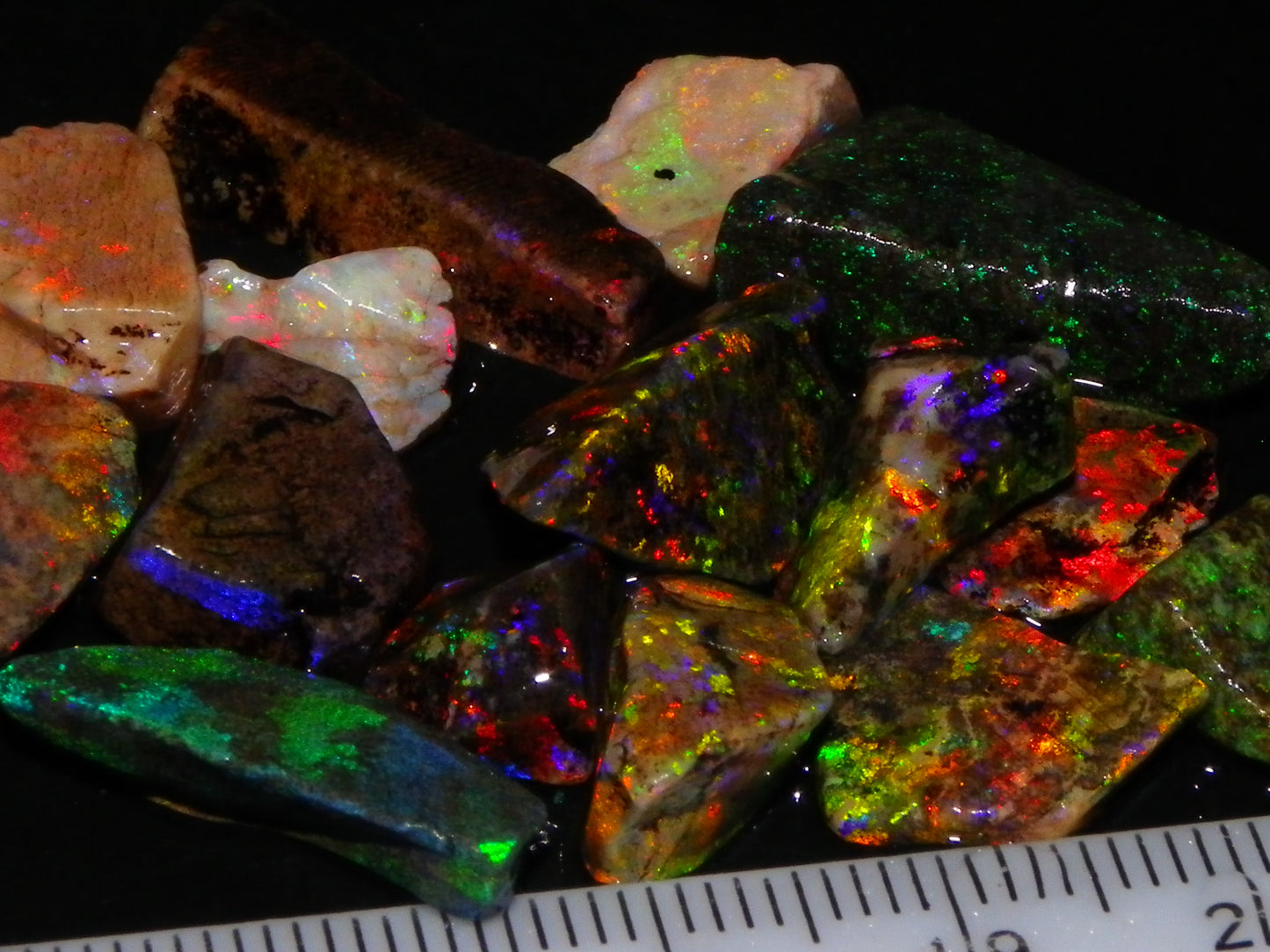 Nice Quality Andamooka Matrix Opals 62.5cts Some very Bright Multicolours Au