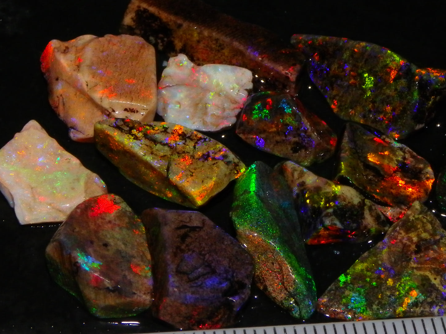 Nice Quality Andamooka Matrix Opals 62.5cts Some very Bright Multicolours Au