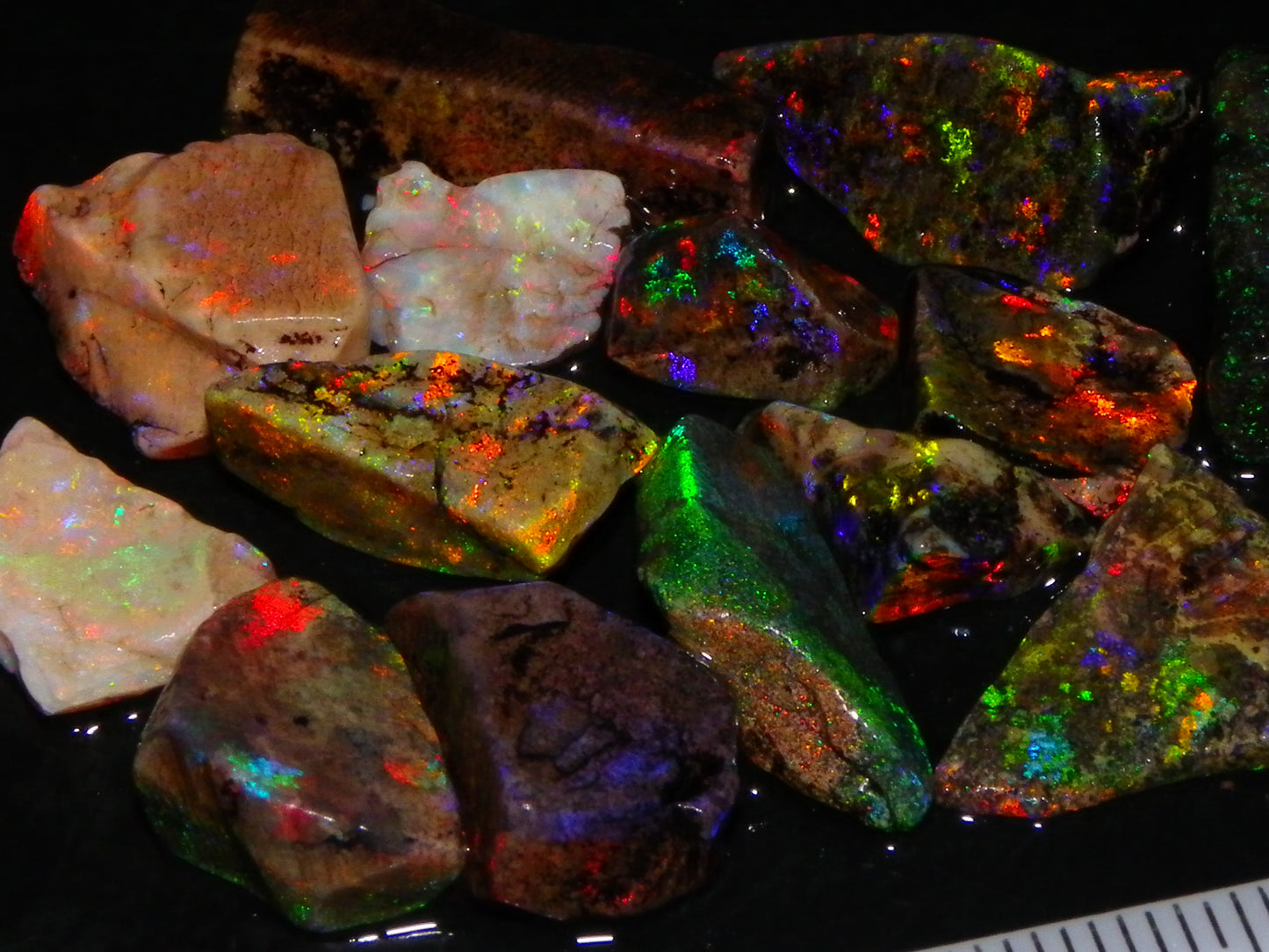 Nice Quality Andamooka Matrix Opals 62.5cts Some very Bright Multicolours Au