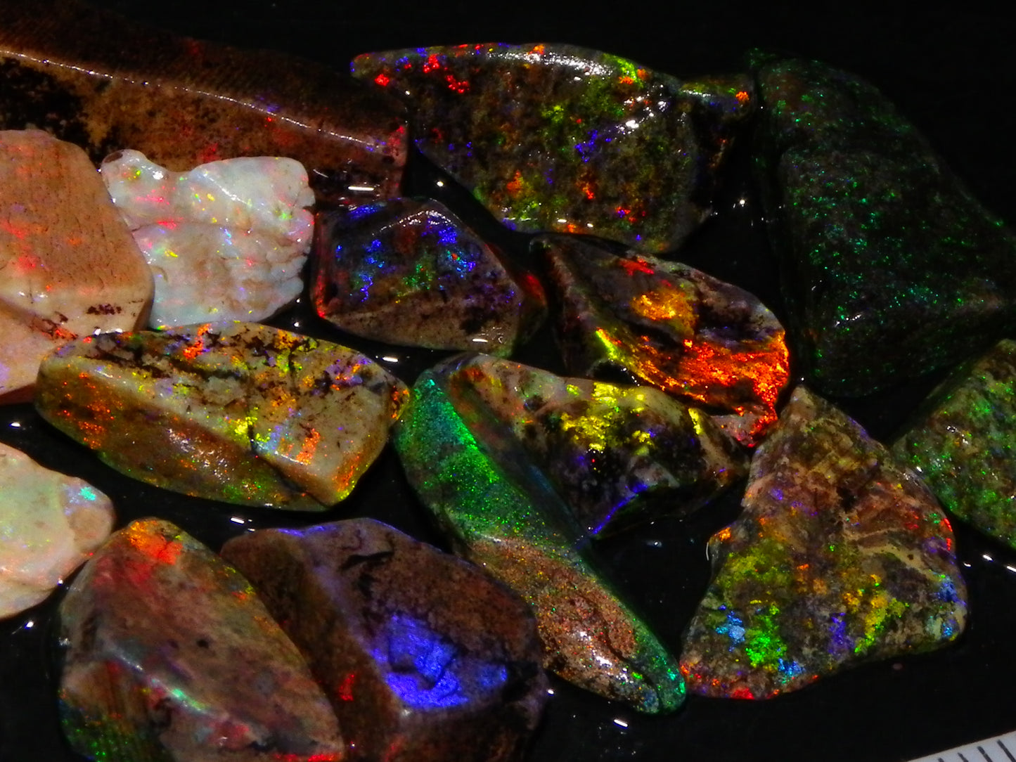 Nice Quality Andamooka Matrix Opals 62.5cts Some very Bright Multicolours Au