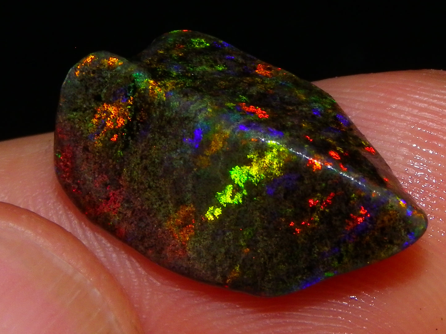 Nice Quality Andamooka Matrix Opals 62.5cts Some very Bright Multicolours Au