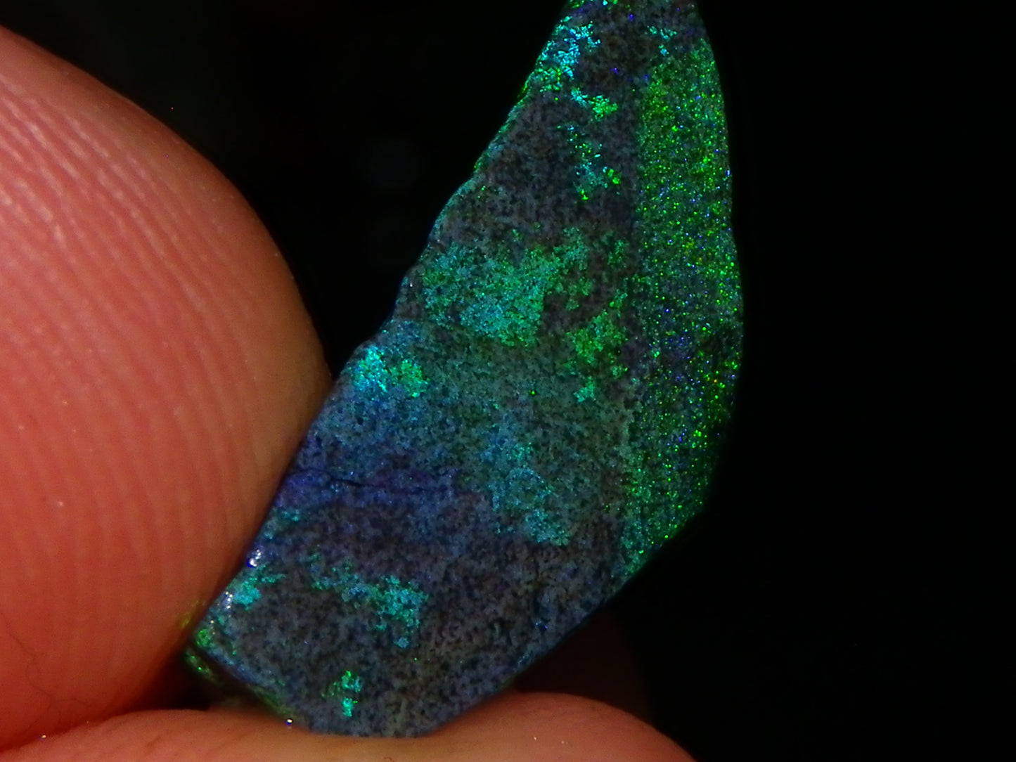 Nice Quality Andamooka Matrix Opals 62.5cts Some very Bright Multicolours Au