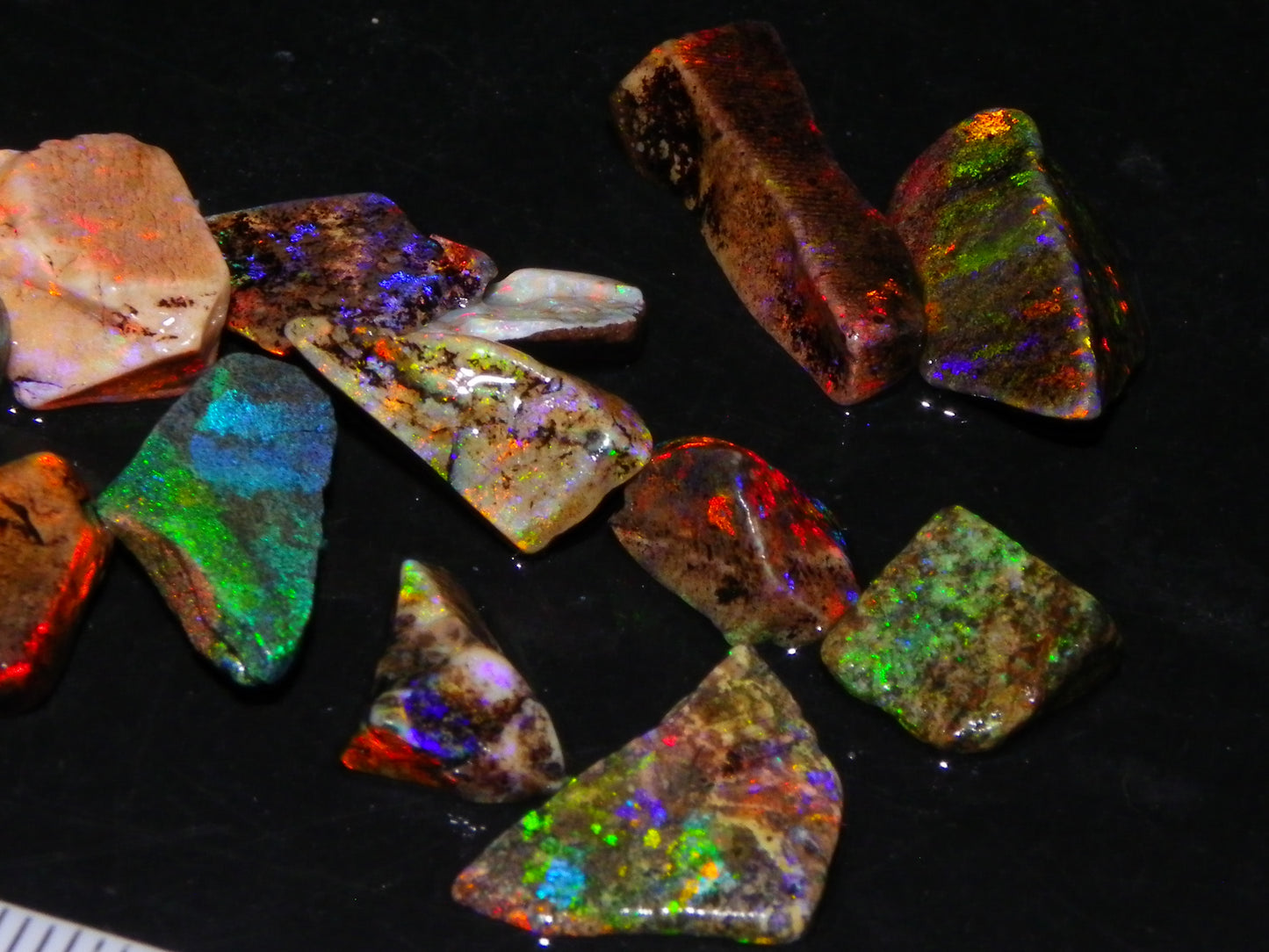 Nice Quality Andamooka Matrix Opals 62.5cts Some very Bright Multicolours Au