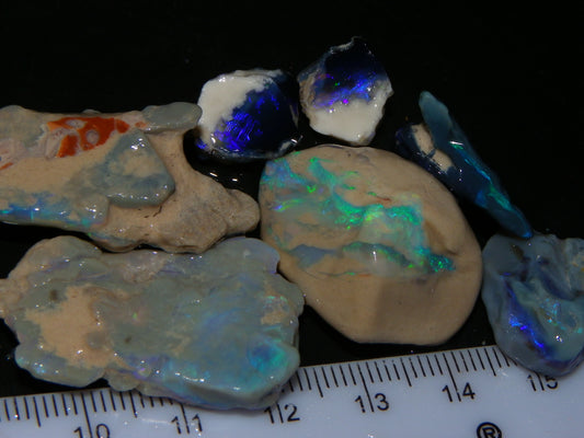 Nice Lightning Ridge Opal Rough/Specimens 112.6cts Nobby/Fossil Base Some Fires