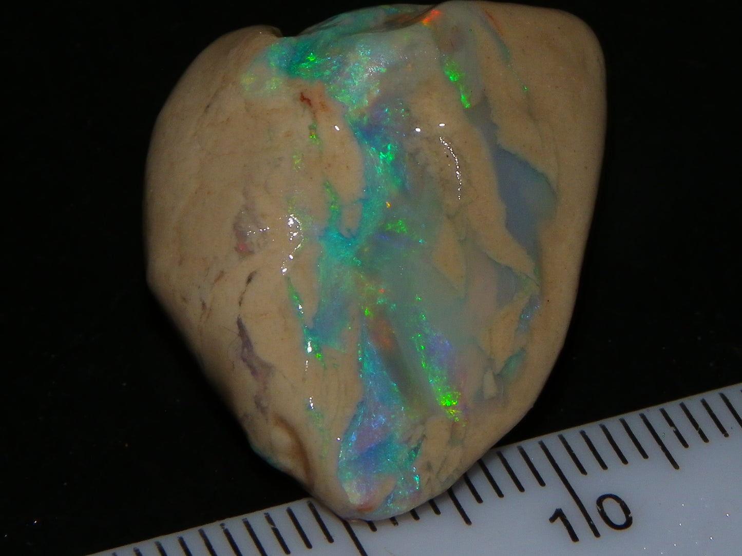 Nice Lightning Ridge Opal Rough/Specimens 112.6cts Nobby/Fossil Base Some Fires