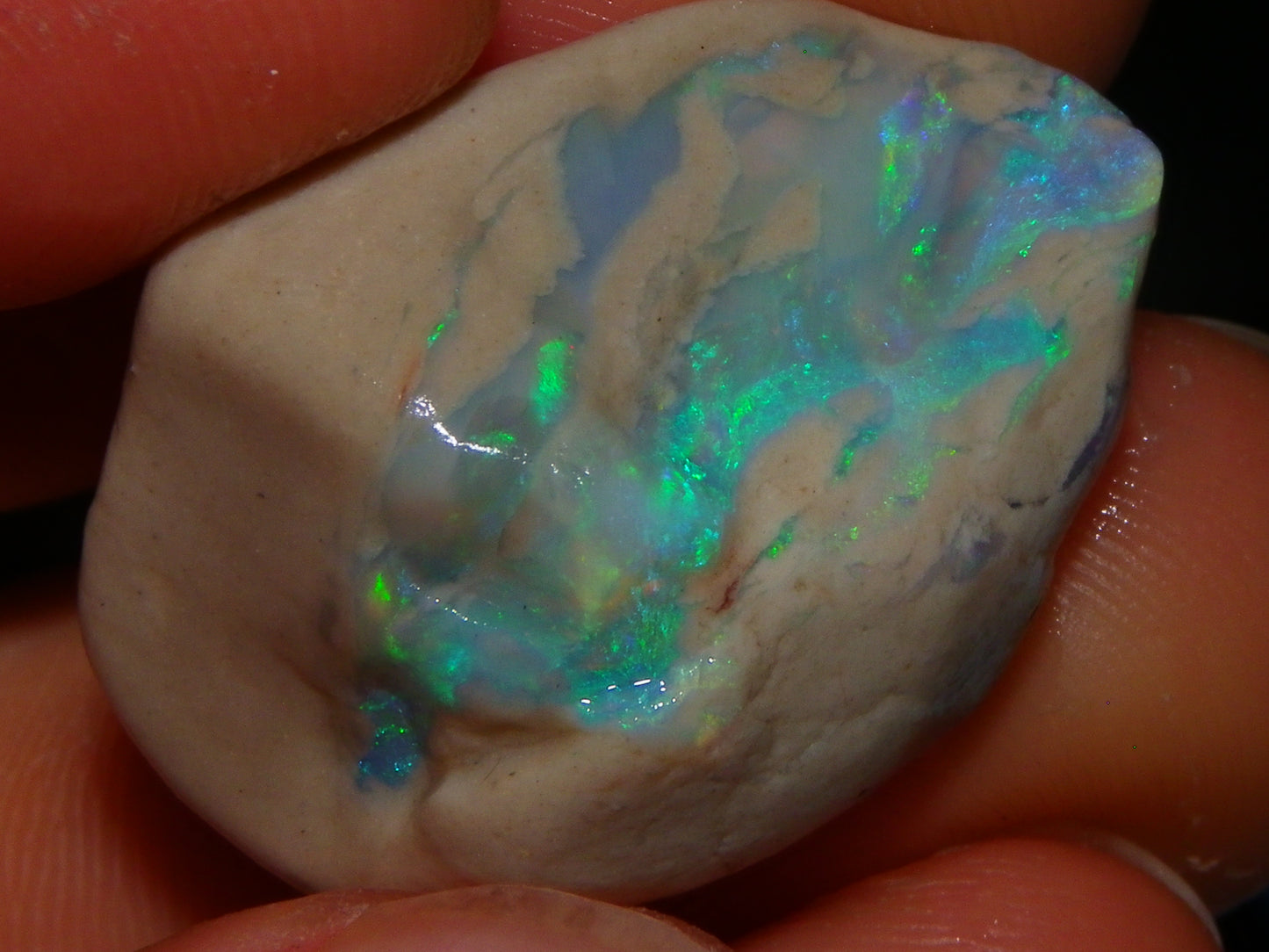 Nice Lightning Ridge Opal Rough/Specimens 112.6cts Nobby/Fossil Base Some Fires