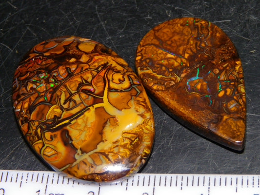 2 Nice Cut/Polished Koroit Opal Cabs/Freeforms 67cts Patterns some Fires Queensland Australia
