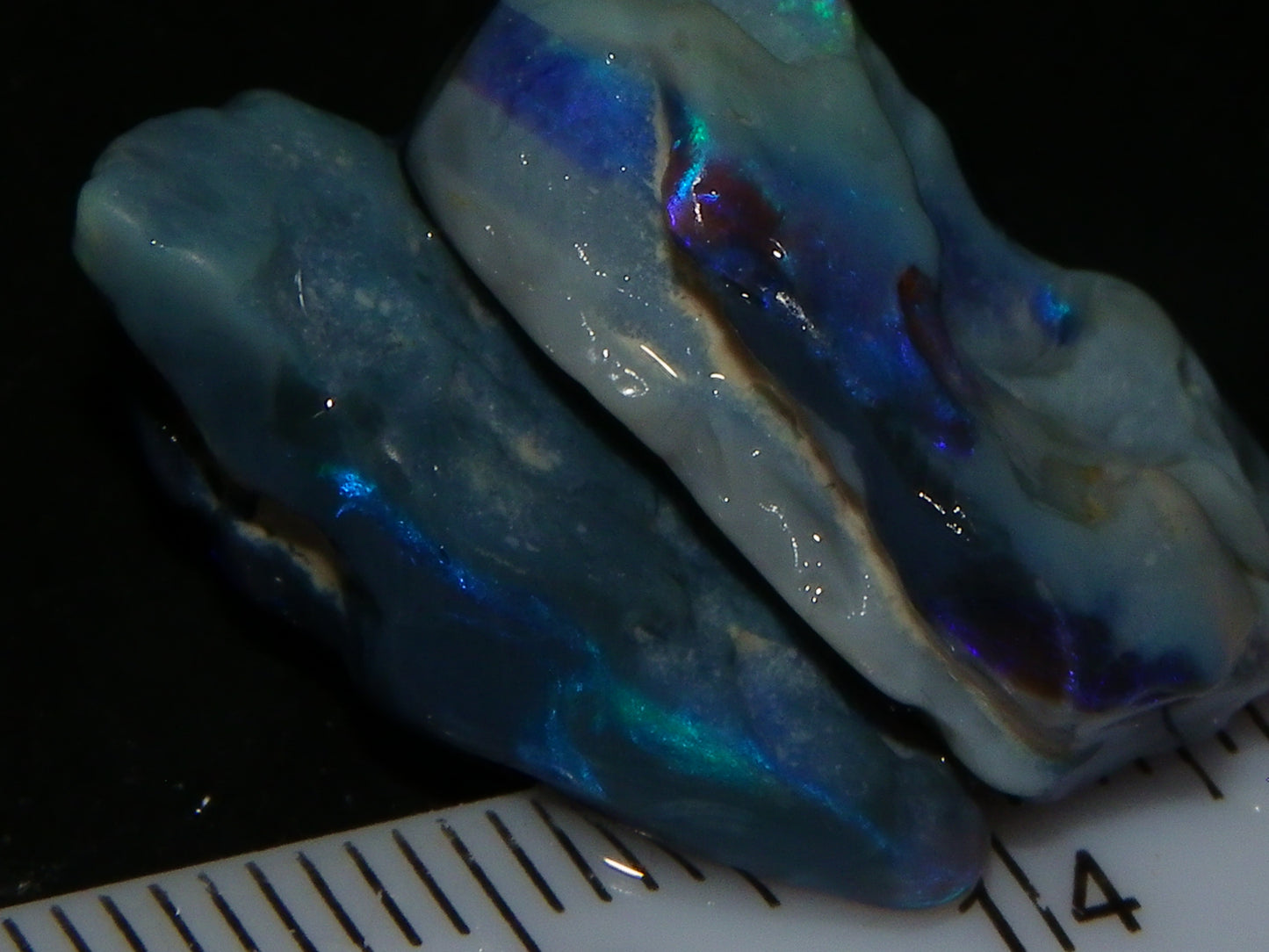 Nice Lightning Ridge Opal Rough/Specimens 112.6cts Nobby/Fossil Base Some Fires