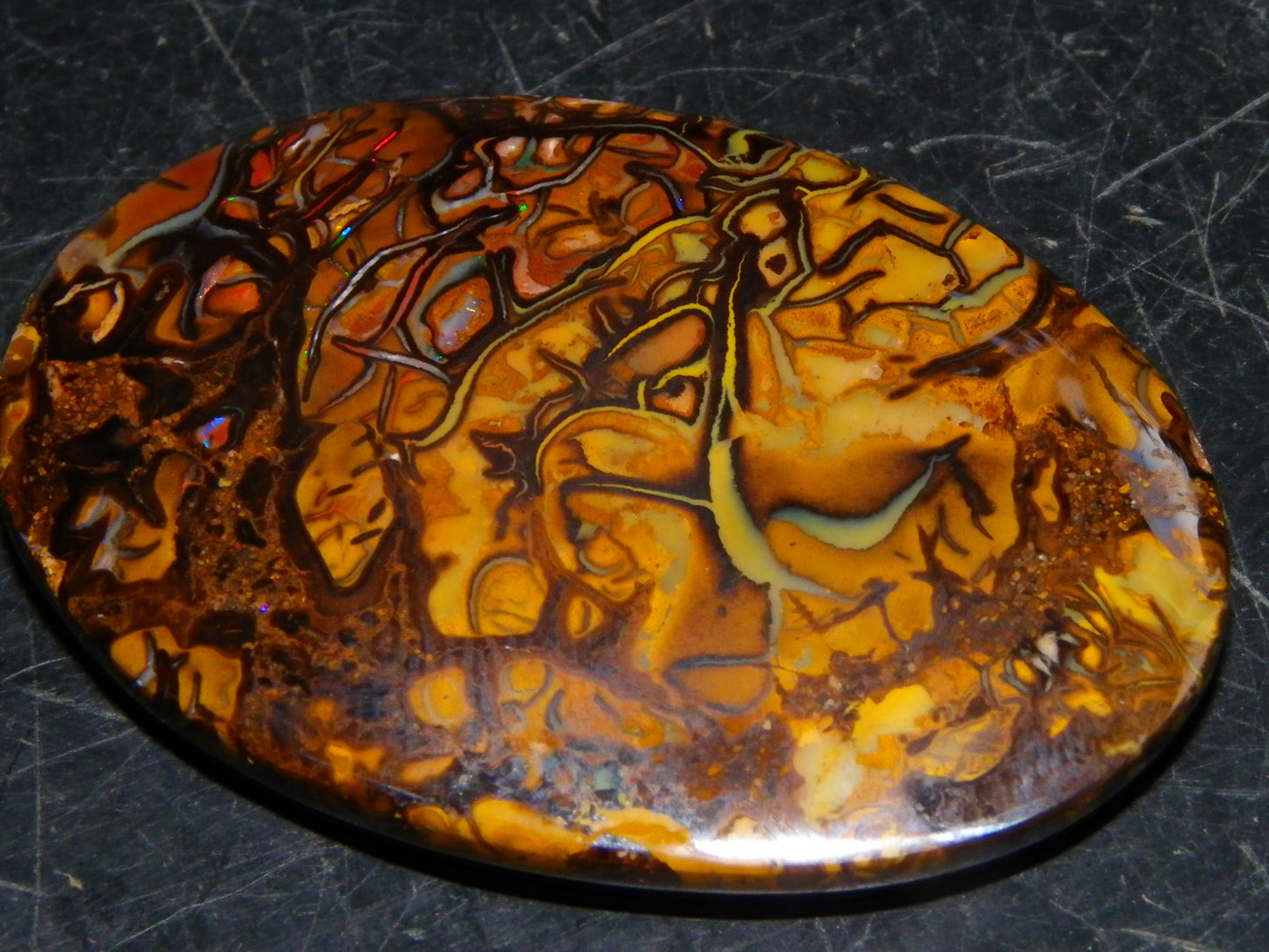 2 Nice Cut/Polished Koroit Opal Cabs/Freeforms 67cts Patterns some Fires Queensland Australia