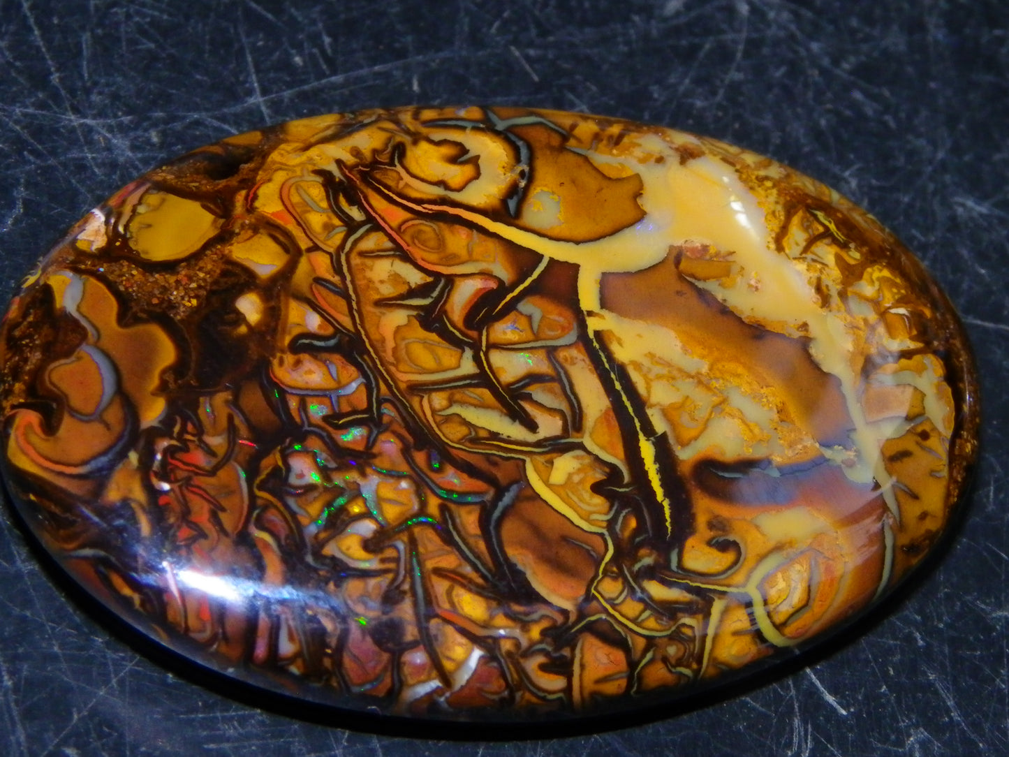 2 Nice Cut/Polished Koroit Opal Cabs/Freeforms 67cts Patterns some Fires Queensland Australia