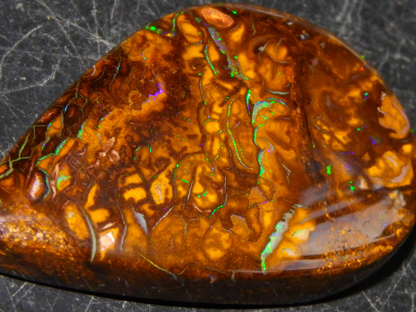 2 Nice Cut/Polished Koroit Opal Cabs/Freeforms 67cts Patterns some Fires Queensland Australia
