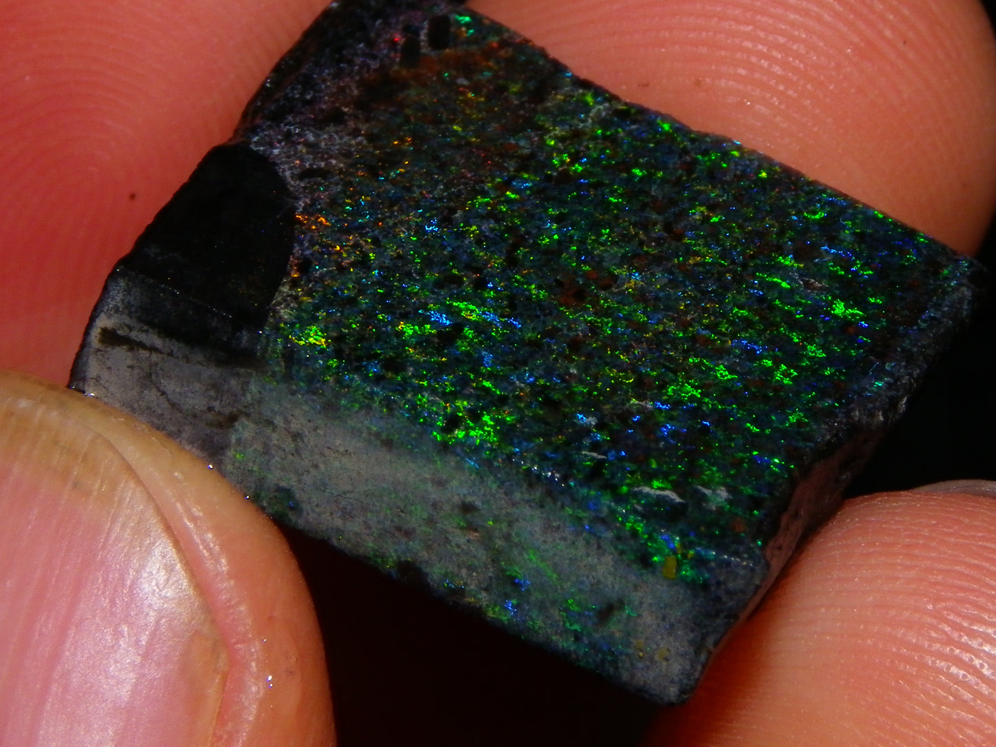 Nice Quality Andamooka Matrix Opal Parcel 238.5cts Multicolour Fires Australia :)