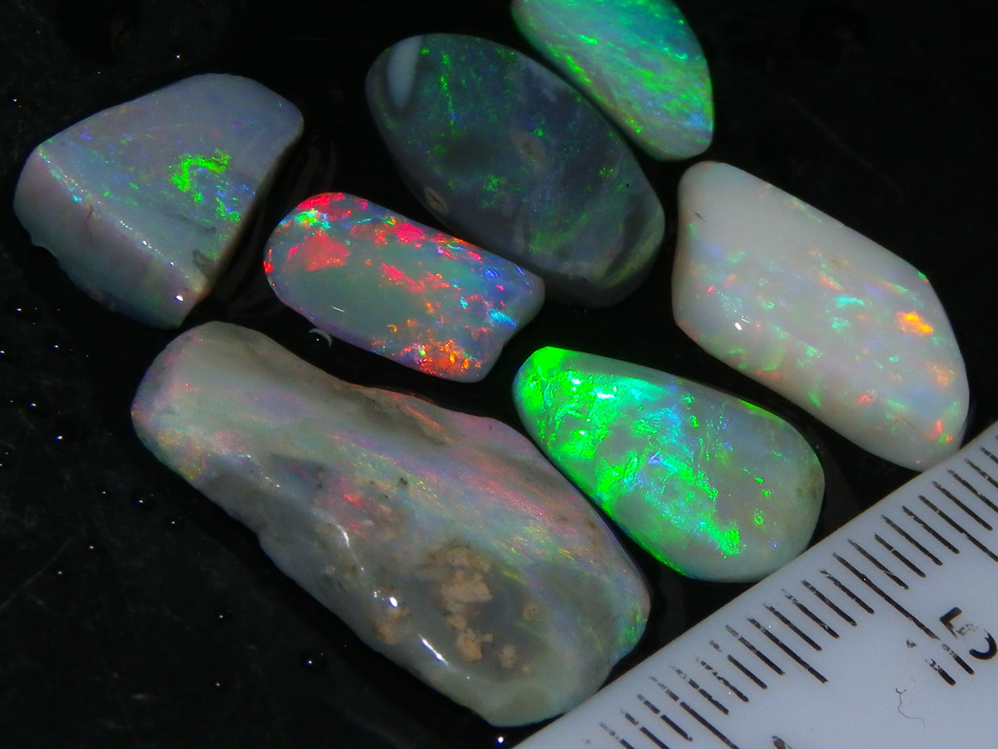 7 Nice Lightning Ridge Opal Rubs/Rough Preforms 12.4cts Mixed Fires, Base Red/Greens Au