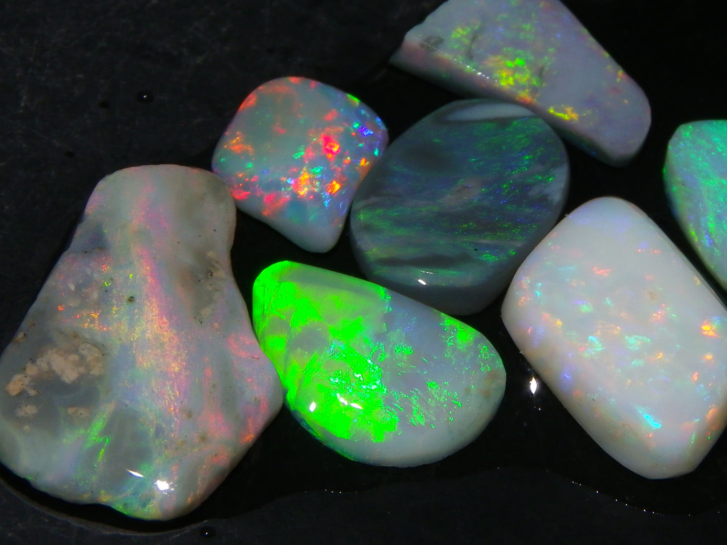 7 Nice Lightning Ridge Opal Rubs/Rough Preforms 12.4cts Mixed Fires, Base Red/Greens Au