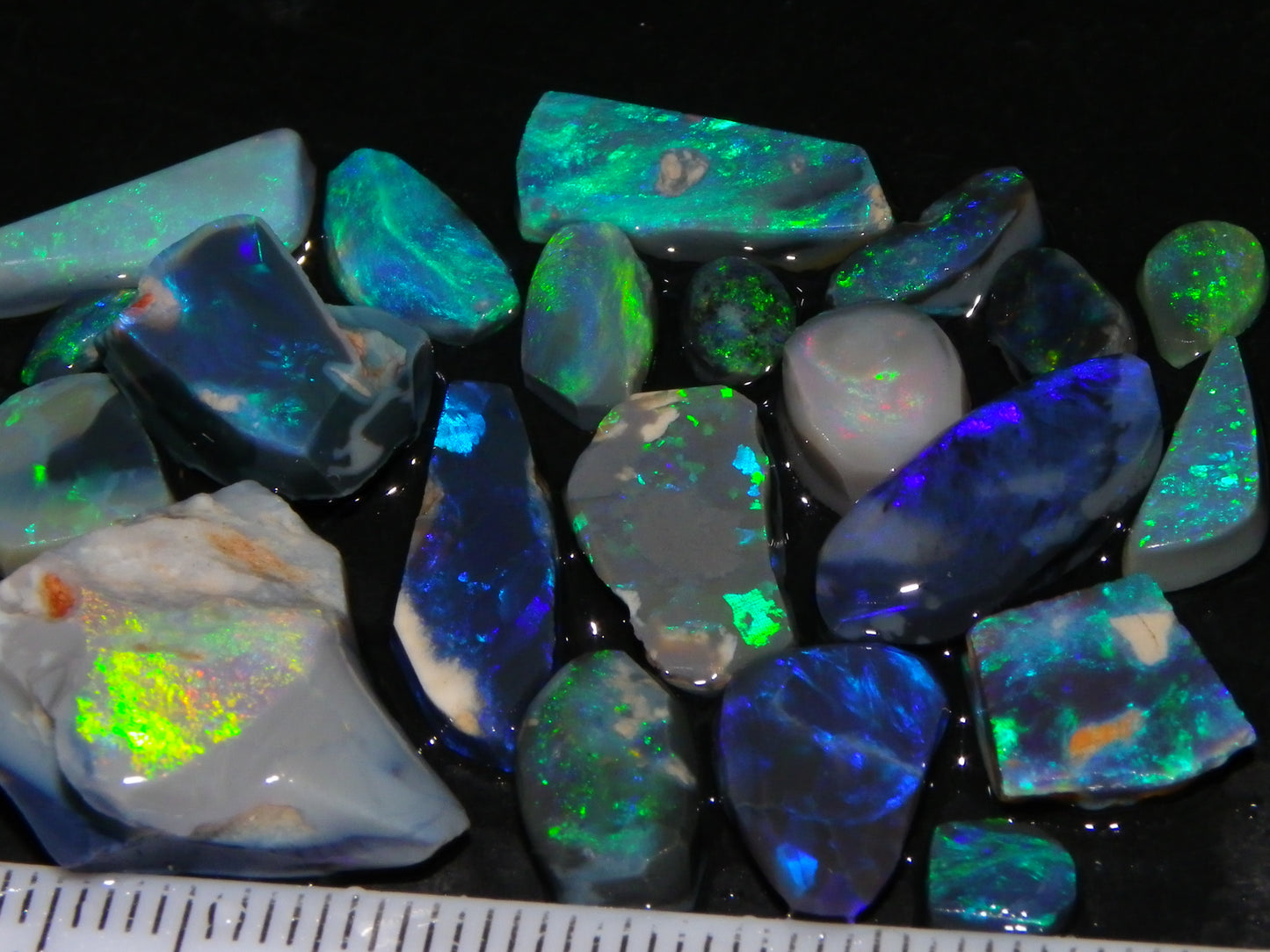 Nice Rubbed/Rough Black Opal Parcel 49.45cts Blue/Green Fires Lightning Ridge Au