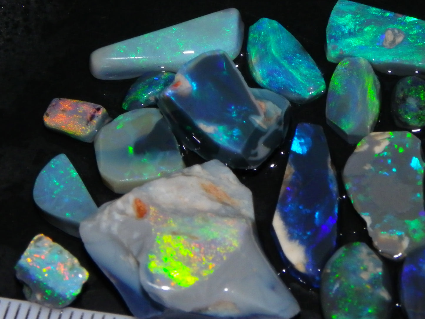 Nice Rubbed/Rough Black Opal Parcel 49.45cts Blue/Green Fires Lightning Ridge Au