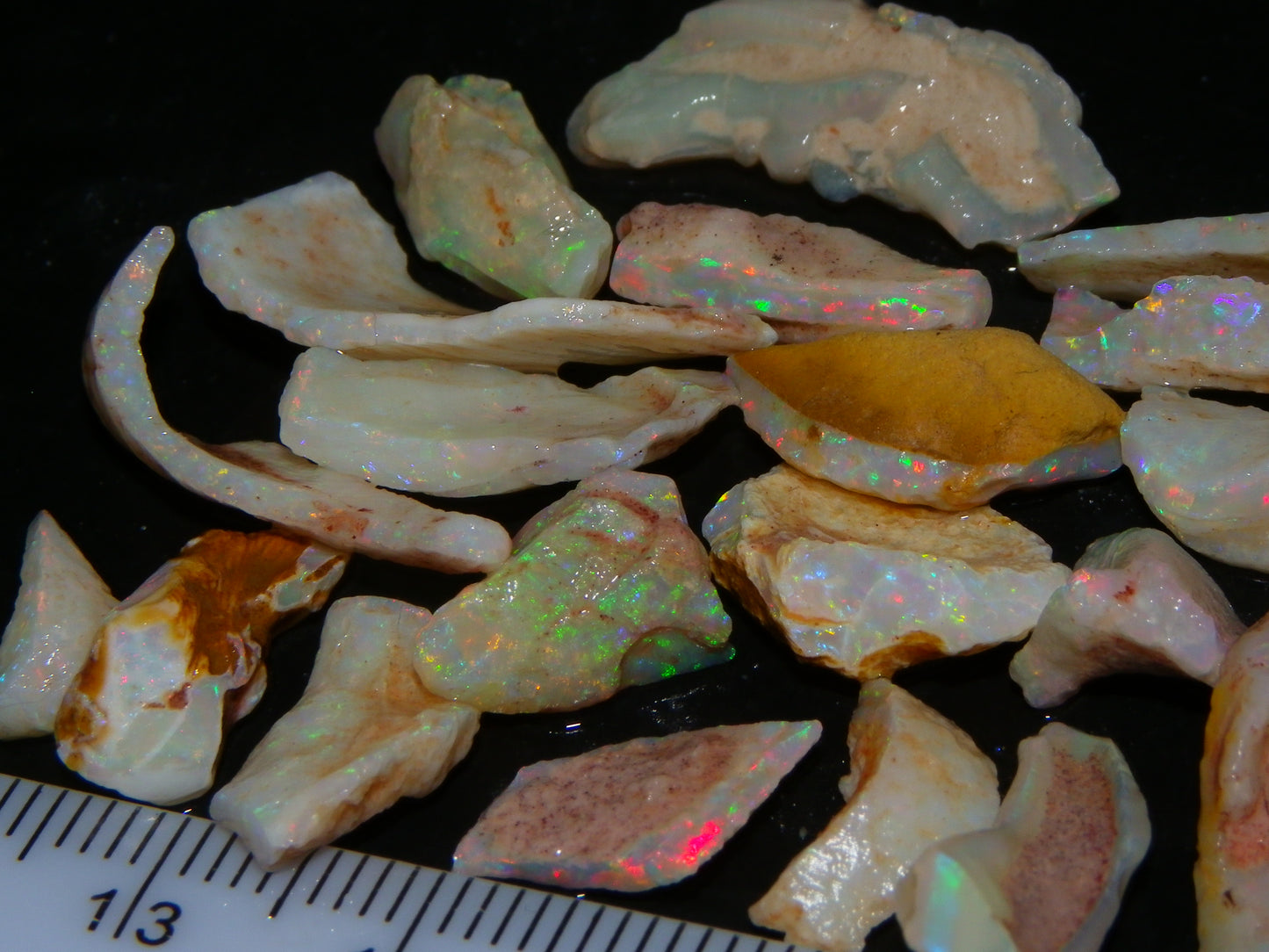 NIce Coober Pedy Fossil Opal Specimens/Pieces 51.5cts Multicolour Fires Australia
