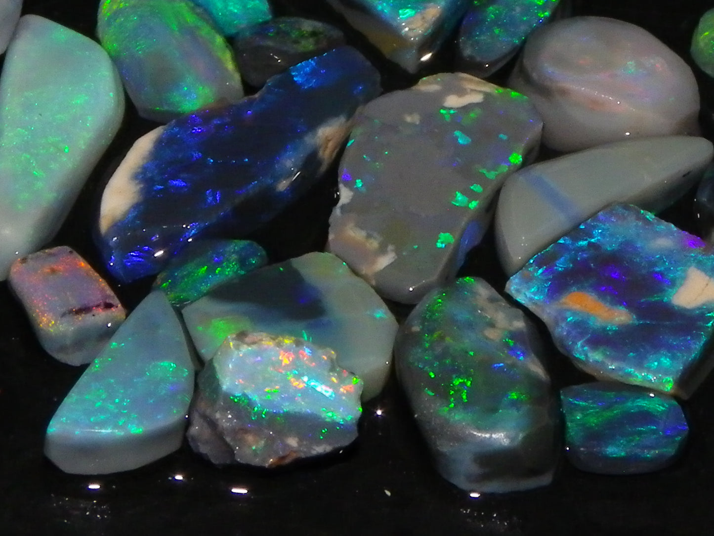 Nice Rubbed/Rough Black Opal Parcel 49.45cts Blue/Green Fires Lightning Ridge Au