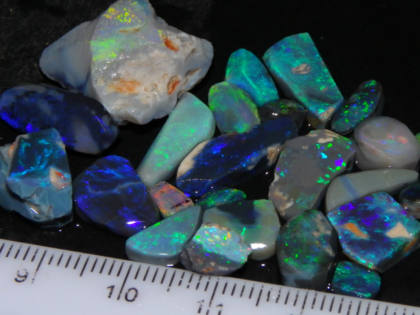 Nice Rubbed/Rough Black Opal Parcel 49.45cts Blue/Green Fires Lightning Ridge Au