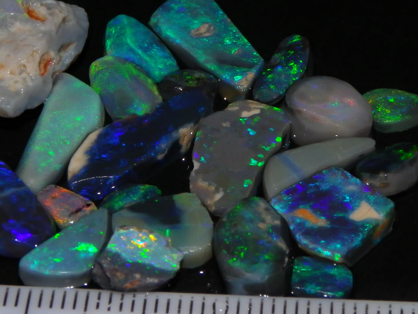 Nice Rubbed/Rough Black Opal Parcel 49.45cts Blue/Green Fires Lightning Ridge Au