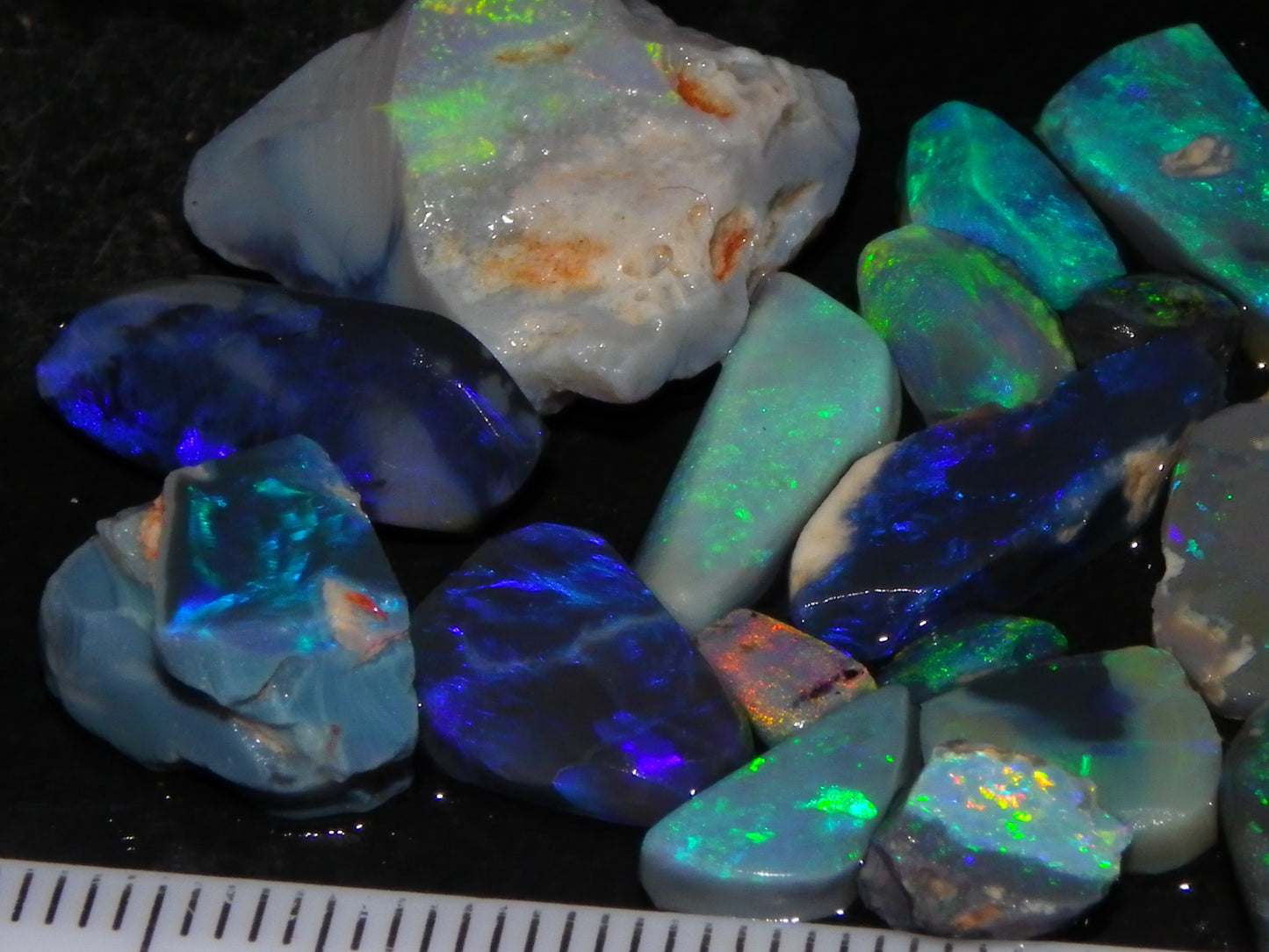 Nice Rubbed/Rough Black Opal Parcel 49.45cts Blue/Green Fires Lightning Ridge Au