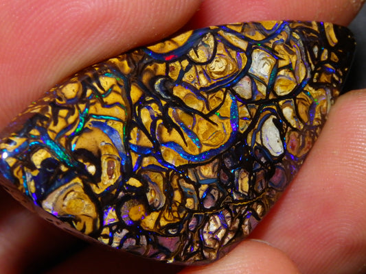 Nice Quality Cut/Polished Koroit Opal Cab/Gem 42.94cts Blue/Green Fires/Patterns Qld Australia