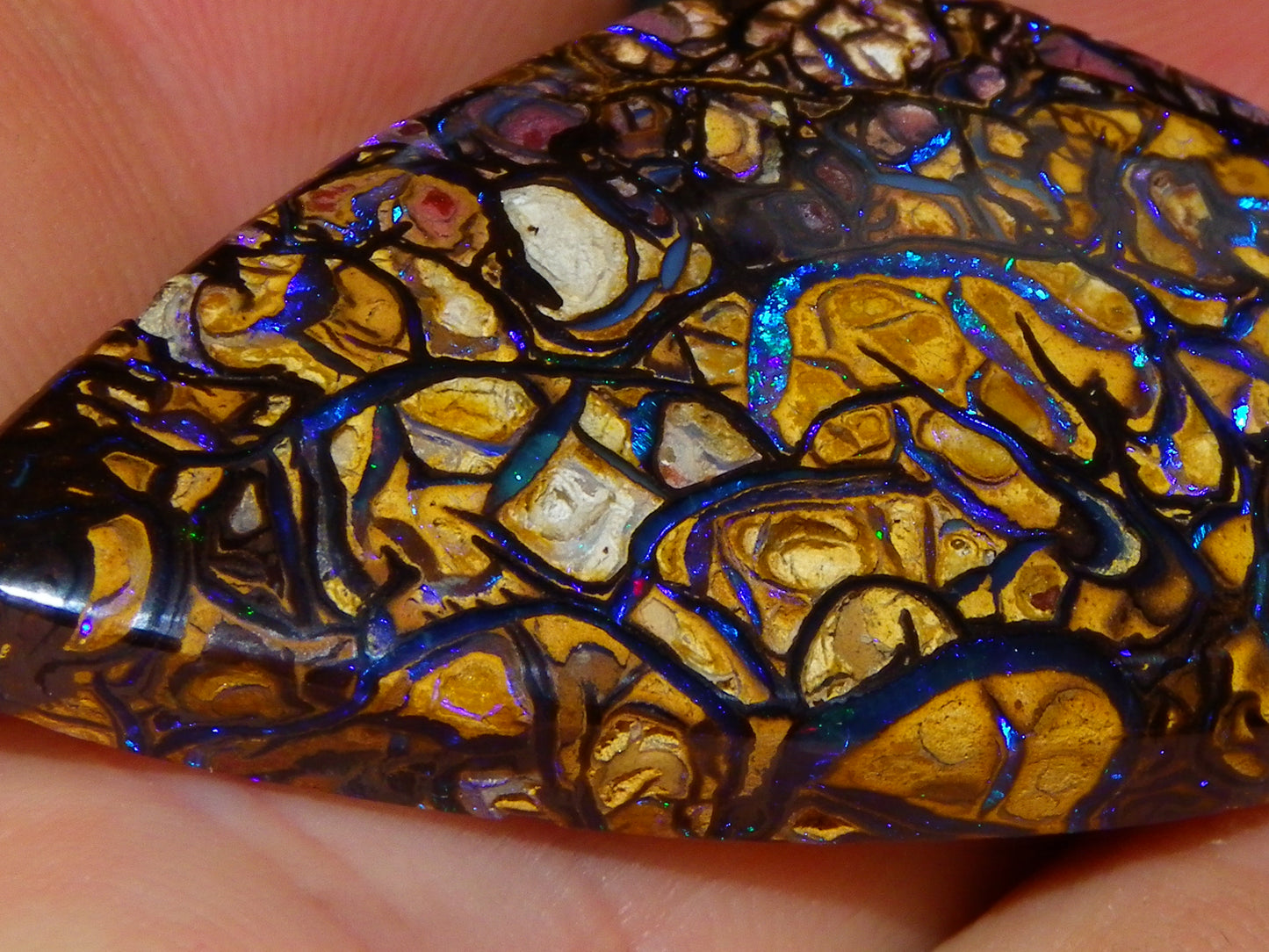 Nice Quality Cut/Polished Koroit Opal Cab/Gem 42.94cts Blue/Green Fires/Patterns Qld Australia