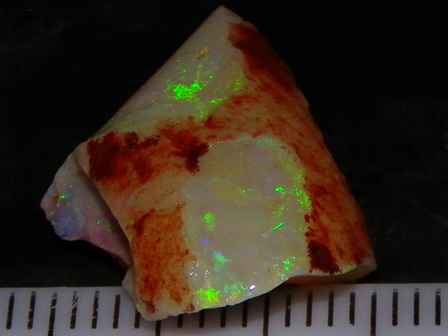 Nice Quality Coober Pedy Opal Rough Parcel 56.35cts Multicolour Fires/Bars