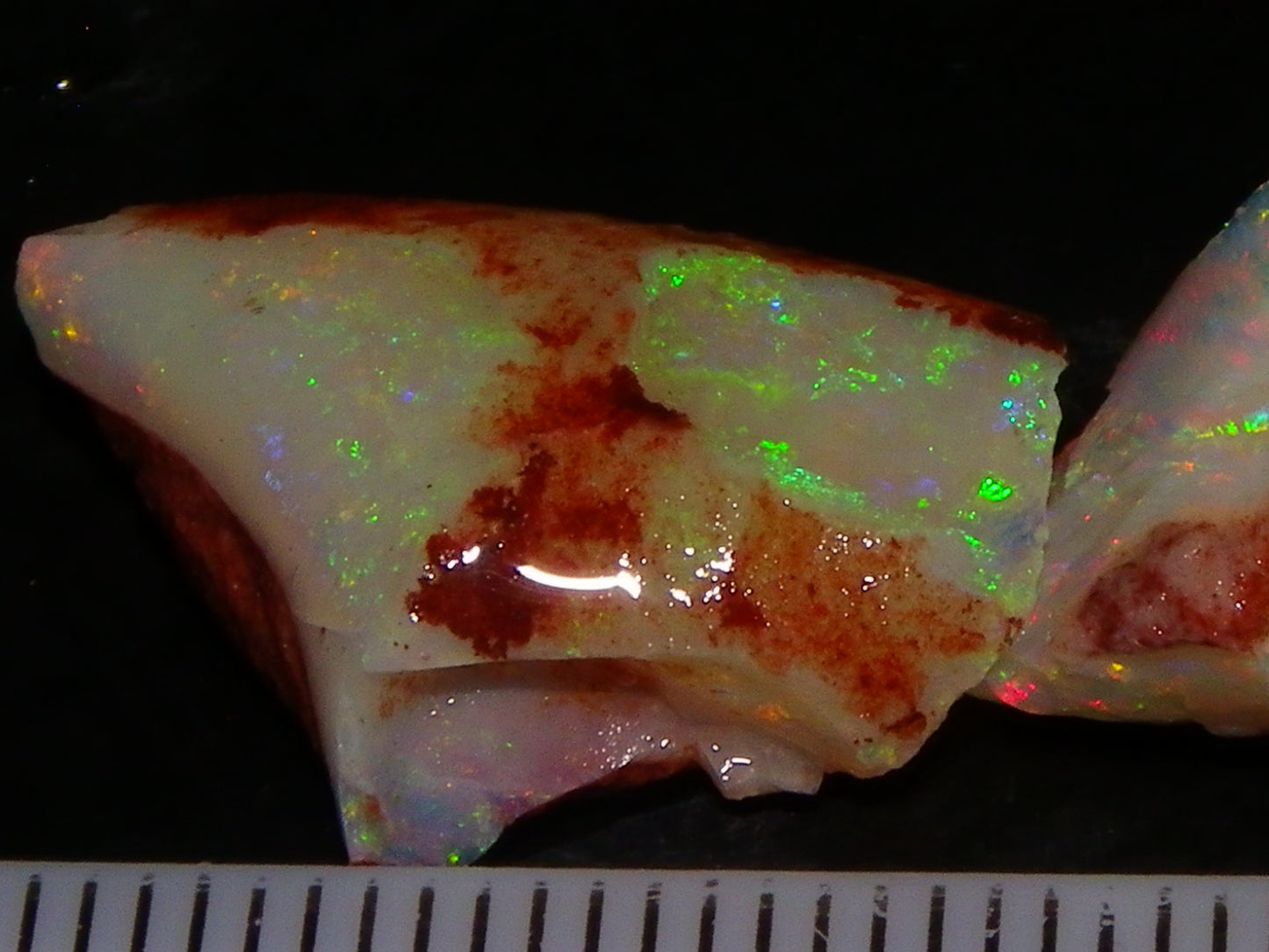 Nice Quality Coober Pedy Opal Rough Parcel 56.35cts Multicolour Fires/Bars