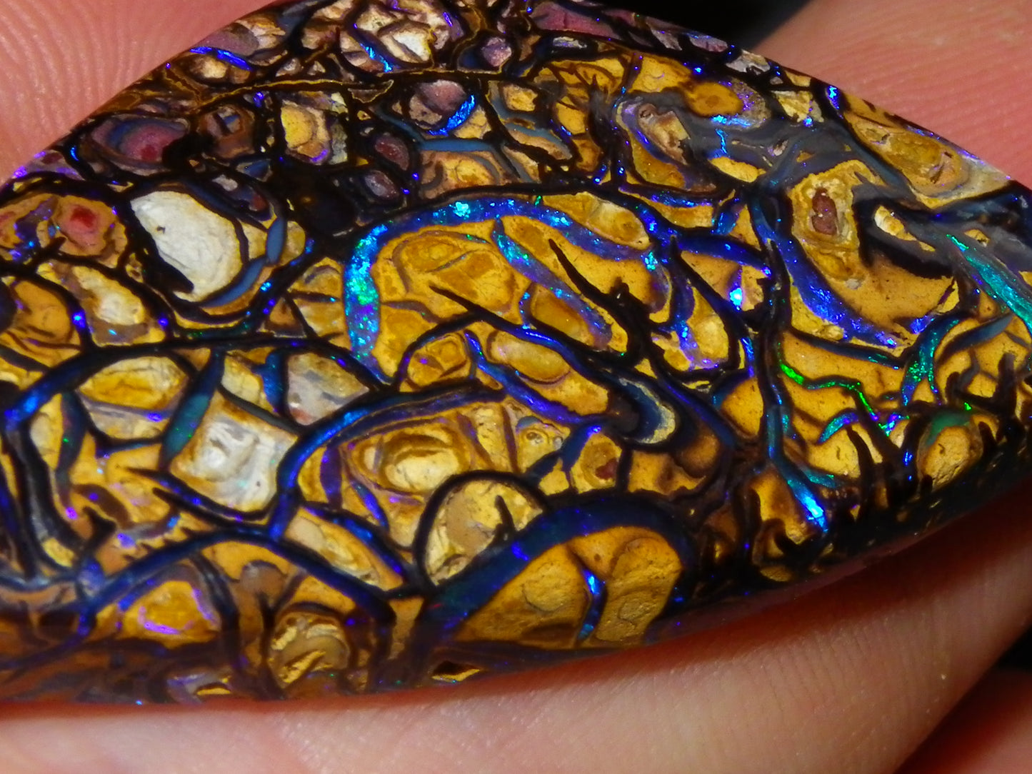 Nice Quality Cut/Polished Koroit Opal Cab/Gem 42.94cts Blue/Green Fires/Patterns Qld Australia