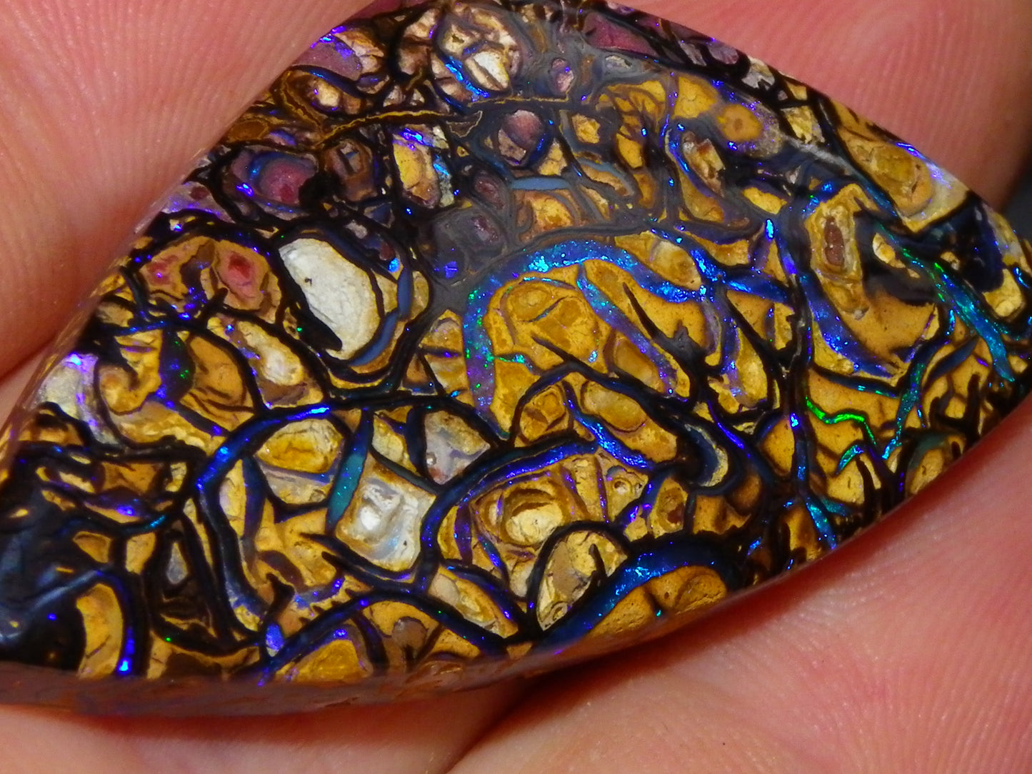 Nice Quality Cut/Polished Koroit Opal Cab/Gem 42.94cts Blue/Green Fires/Patterns Qld Australia