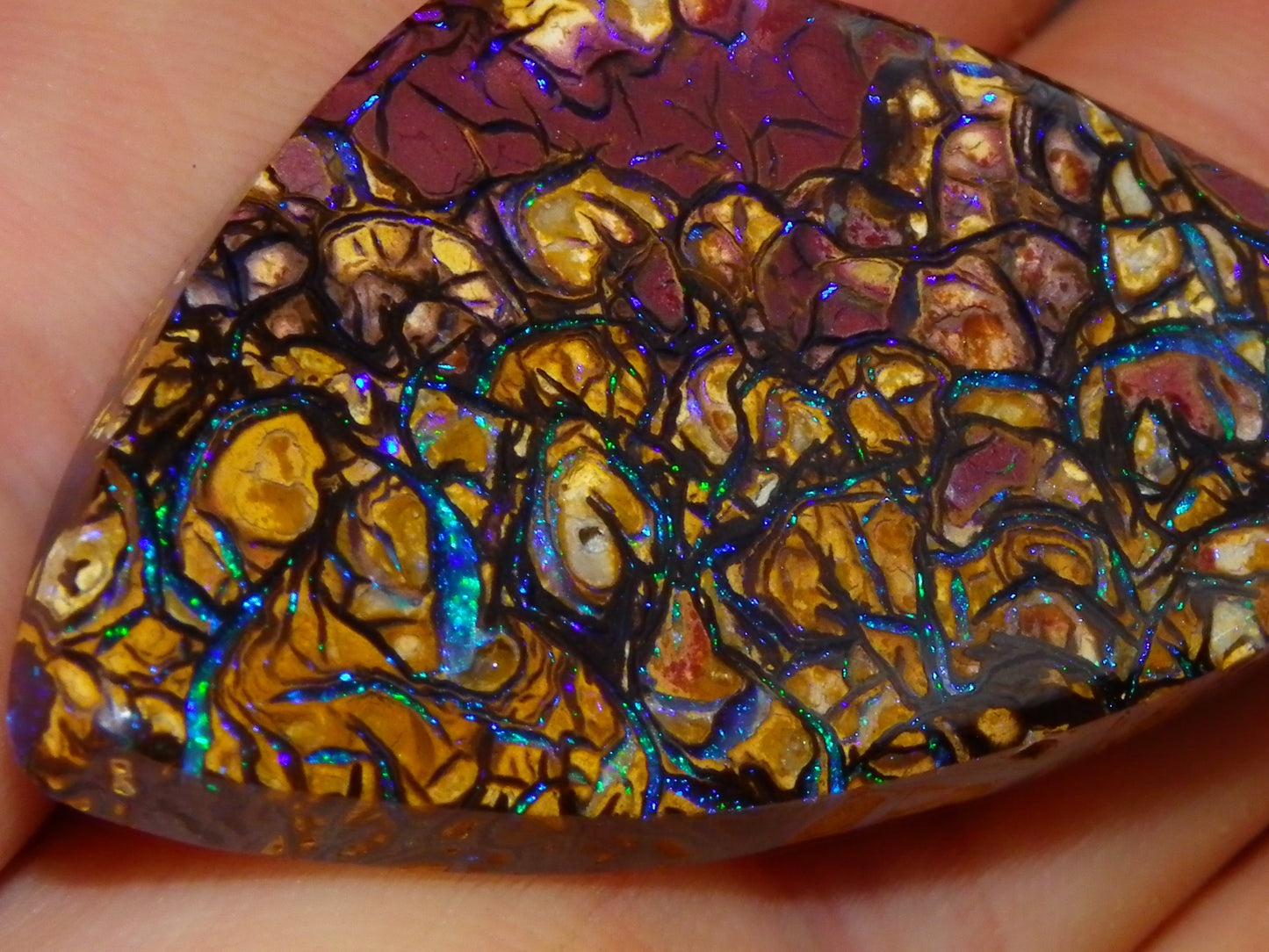Nice Quality Cut/Polished Koroit Opal Cab/Gem 42.94cts Blue/Green Fires/Patterns Qld Australia
