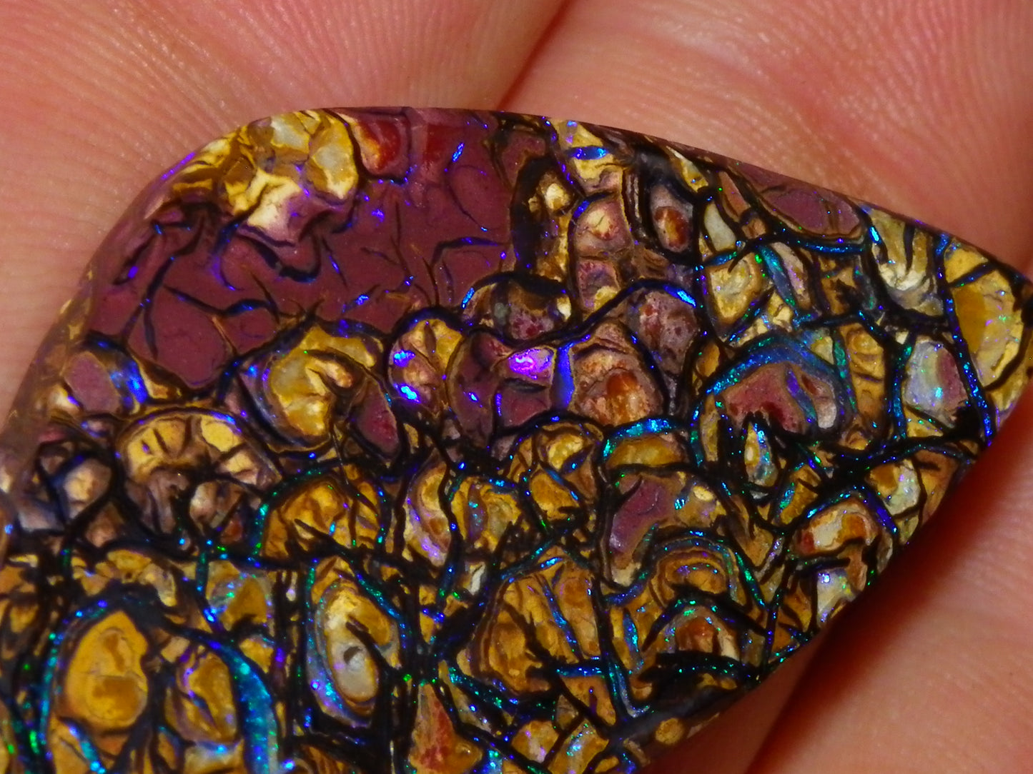 Nice Quality Cut/Polished Koroit Opal Cab/Gem 42.94cts Blue/Green Fires/Patterns Qld Australia